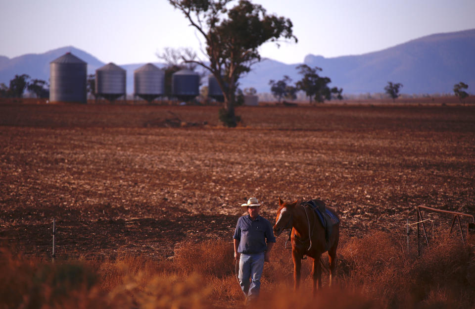 Farmer Scott Cooper leads his horse through a drought-affected paddock on his property named ‘Nundah’ located on the outskirts of the central New South Wales town of Gunnedah. Source: Reuters