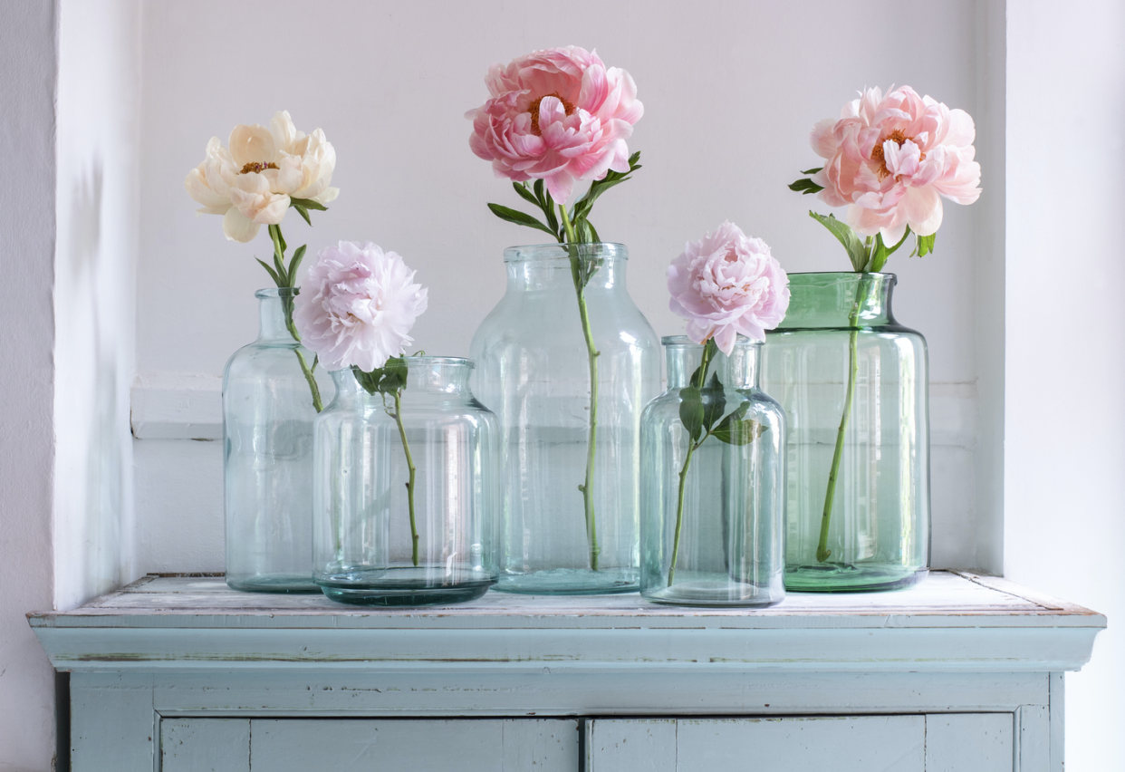 how to grow peonies