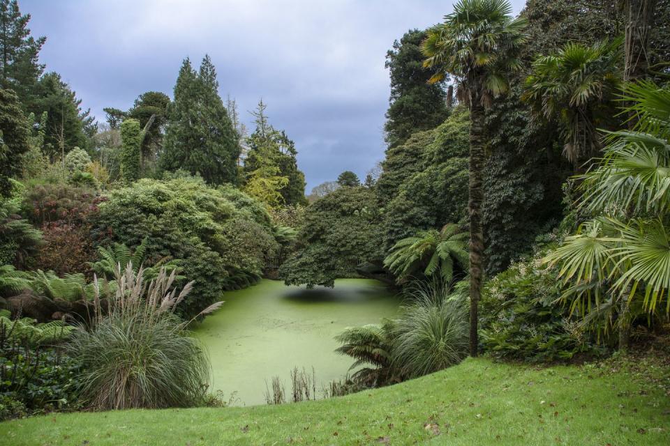 8) Lost Gardens of Heligan in Cornwall