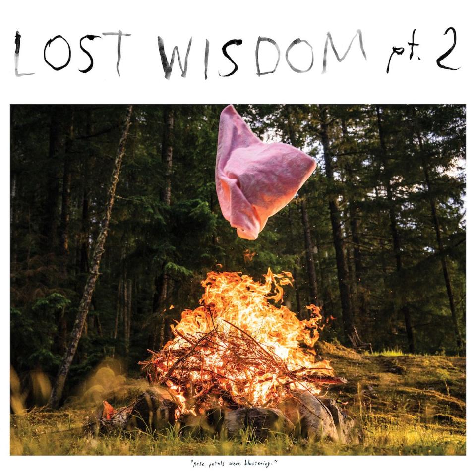 Mount Eerie and Julie Doiron lost wisdom pt 2 album cover artwork