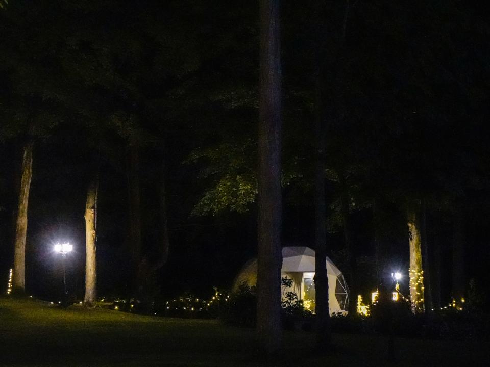 The outside of the domes at night with lights on the trees