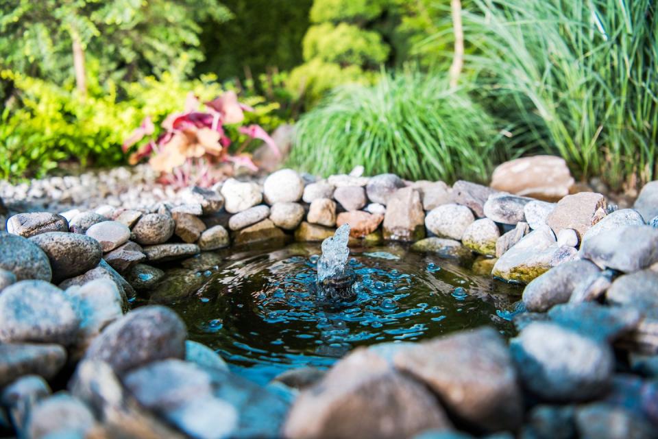 <p>Another great way to attract wildlife to your garden is with a pond – and it won't cost much at all. Simply collect pebbles and stones, dig a hole in the garden, protect the bottom with a pond liner and hide it using the pebbles and rocks. Then fill with water to create a pond. </p><p><strong>READ MORE: <a href="https://www.housebeautiful.com/uk/garden/designs/a28656907/create-garden-pond/" rel="nofollow noopener" target="_blank" data-ylk="slk:8 steps to creating your own garden pond;elm:context_link;itc:0;sec:content-canvas" class="link ">8 steps to creating your own garden pond</a></strong> </p>