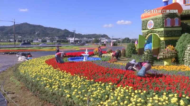 台中國際花毯節將在12月3日登場。