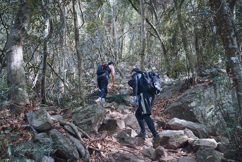 谷關七雄｜波津加山