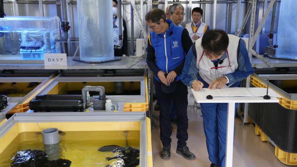 IAEA chief Rafael Grossi during an inspection in Fukushima, Japan, on July 5, 2023. - Hiro Komae/Pool/AP