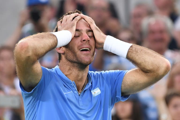 Argentina's Juan Martin Del Potro reacts after winning his men's singles semi-final tennis match against Spain's Rafael Nadal at the Olympic Tennis Centre of the Rio 2016 Olympic Games on August 13, 2016