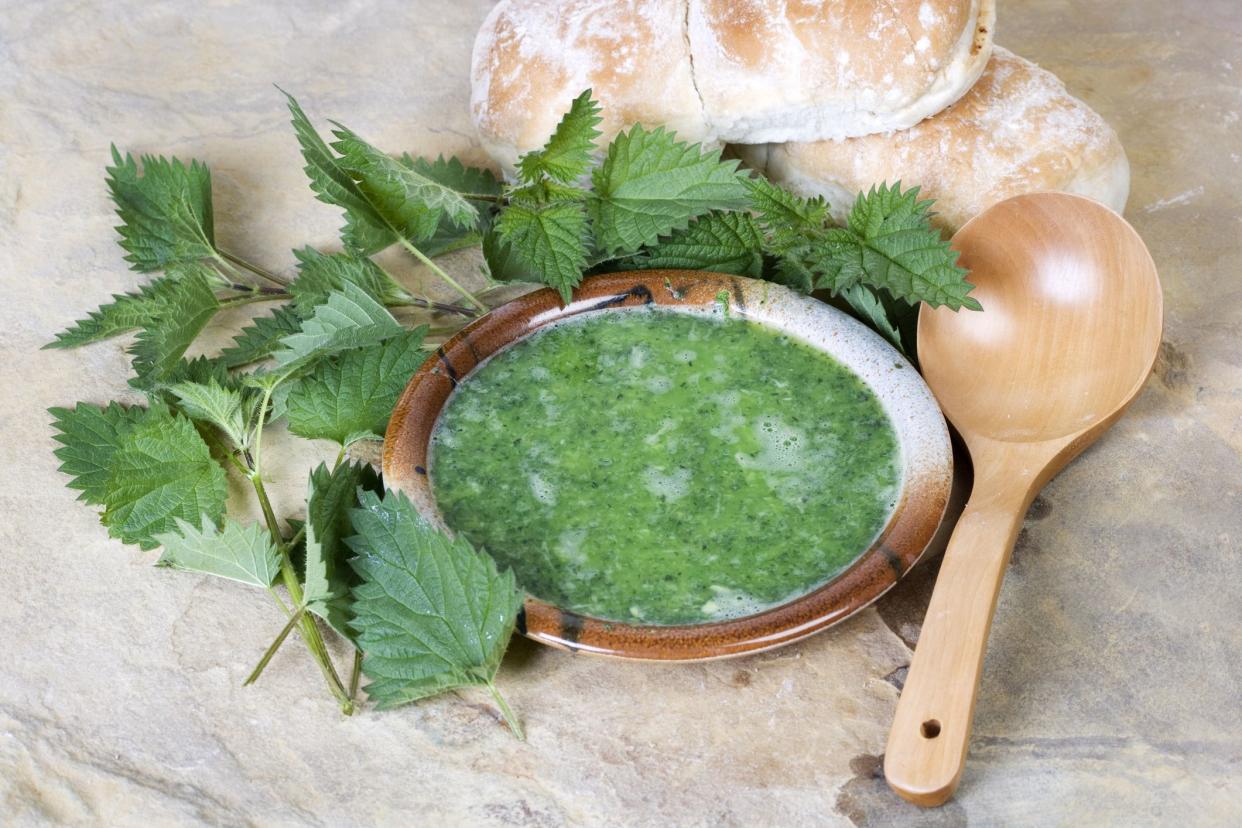 a bright vibrent green nettle soup in a rustic style with farmhouse bread