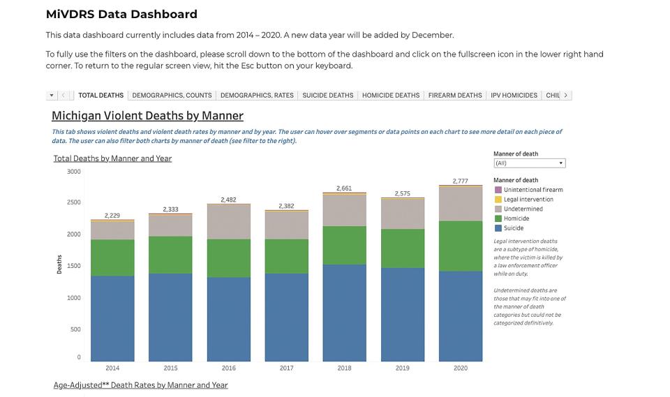 The new Michigan Violent Death Reporting System dashboard includes statistics and circumstances about homicides, suicides, deaths by law enforcement, intimate partner homicides, child deaths and more. 