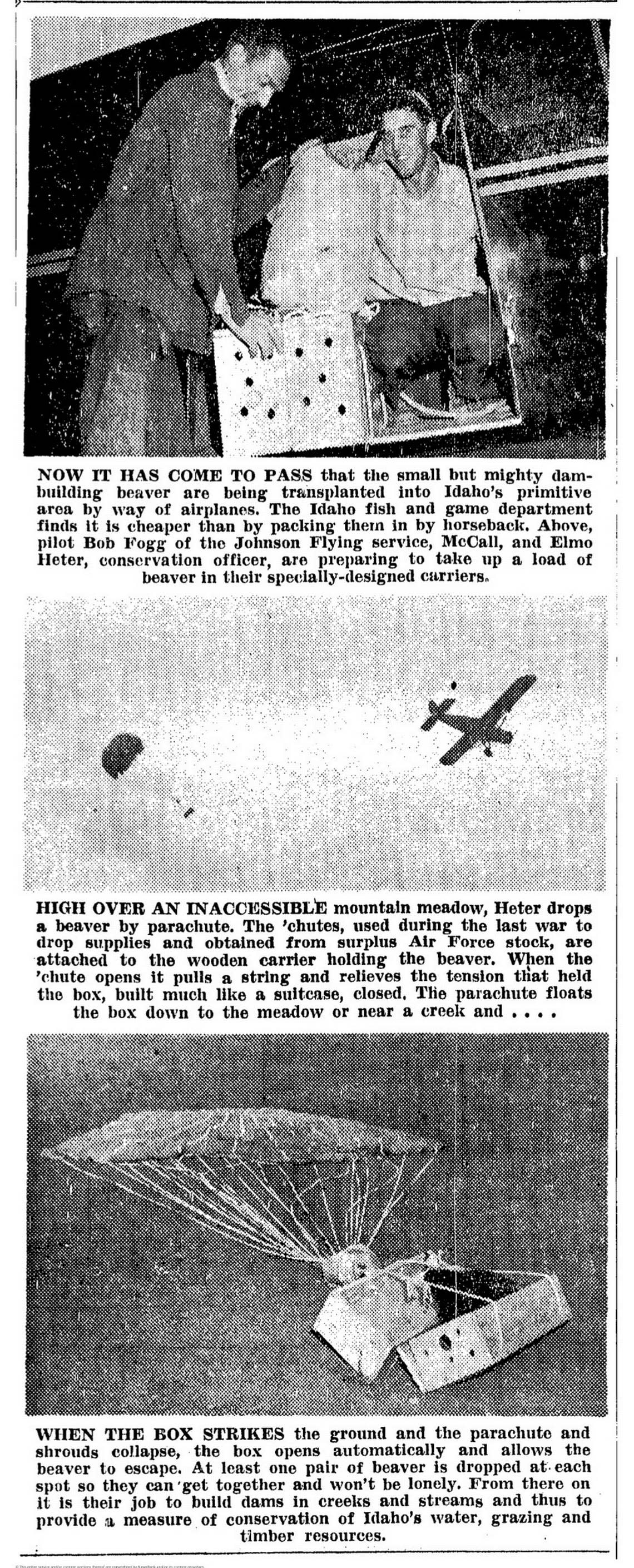 Images from the Aug. 26, 1948, issue of the Idaho Statesman document steps of the parachuting beaver relocation project.