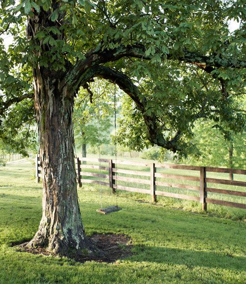 Country Fence