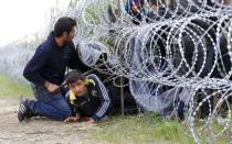 Syrian migrants cross under a fence into Hungary at the border with Serbia, near Roszke, August 26, 2015. REUTERS/Laszlo Balogh