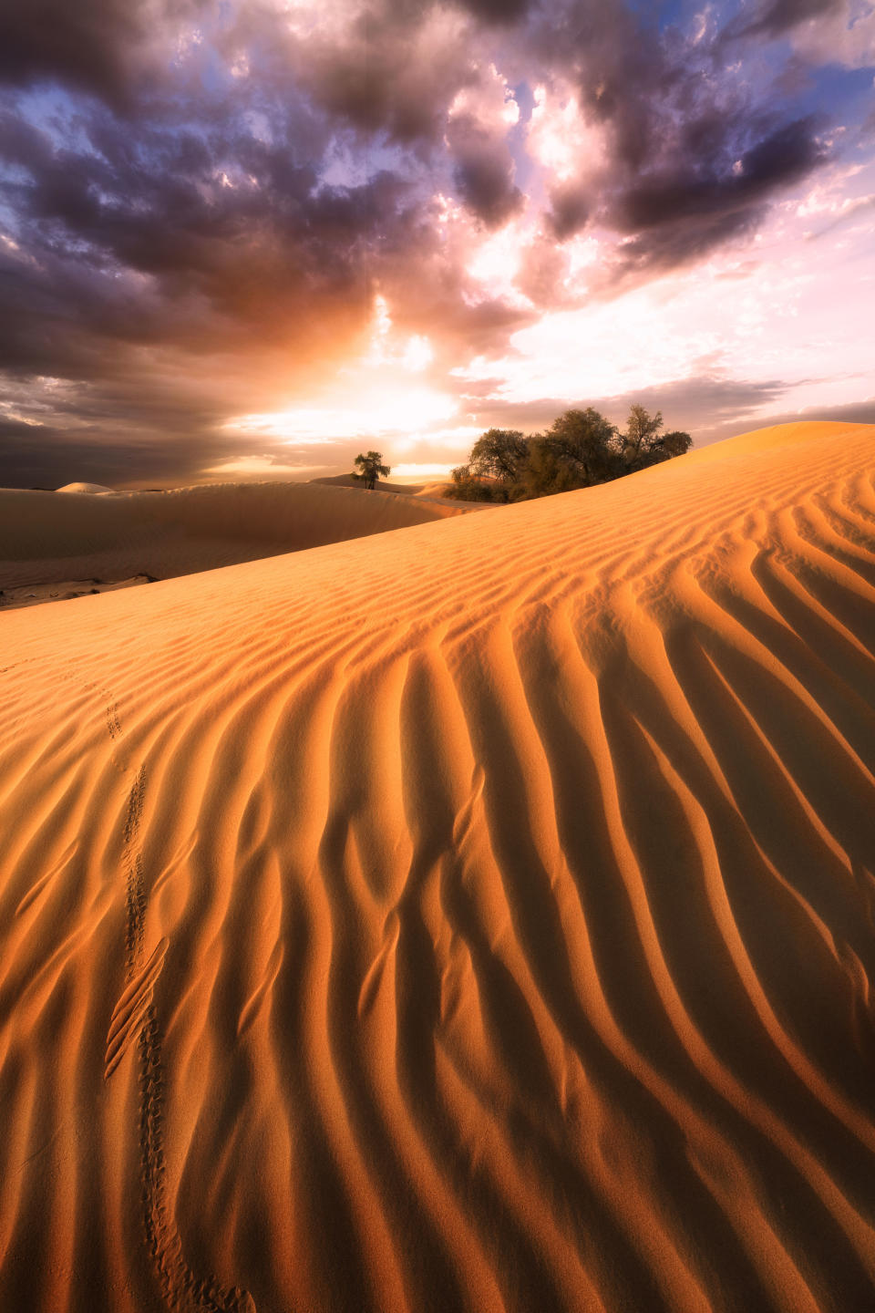 Sea of sand – Beautiful photos of Dubai’s deserts