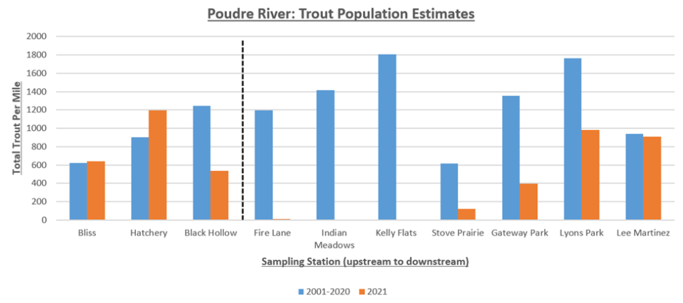 This graphic shows the impacts of the Black Hollow flood in July of 2021 on the trout population in the Poudre River. The black line delineates sampling above and below the confluence of Black Hollow Creek with the Poudre River.