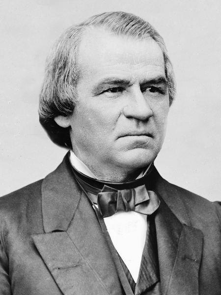 Andrew Johnson had <a href="http://www.mentalfloss.com/blogs/archives/14312">two pet mice</a> that he found in his bedroom one day.  He used to leave water out for them and fed them out of a bowl of flour.  Some <a href="http://presidentialpetmuseum.com/catalog/andrewjohnsonfamilyofmice-p-209.html?osCsid=crnrekdxn">speculated</a> he relied on them  for emotional support during his impeachment process. 