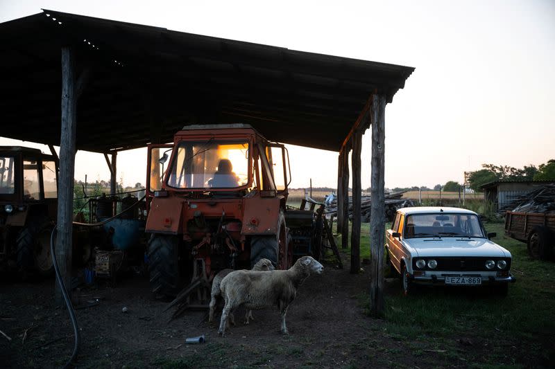 The Wider Image: Sustainable living offers hope for future for Hungarian families