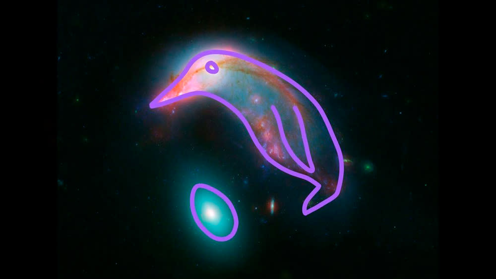  An image of two galaxies that form an optical illusion of a penguin guarding an egg. 