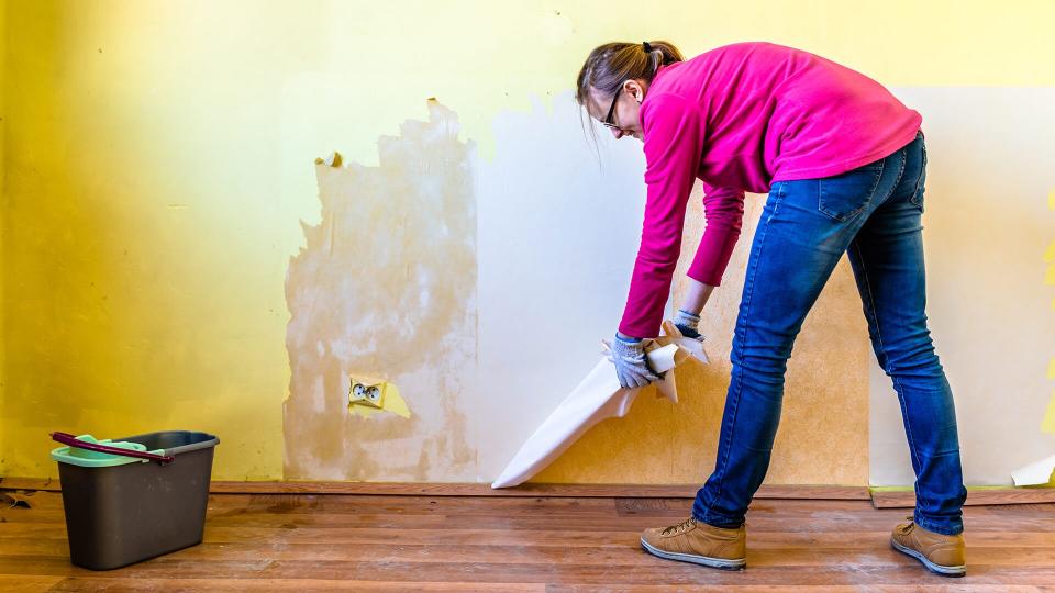 Woman repairing a wall in apartment, concept of home renovating by individual people.