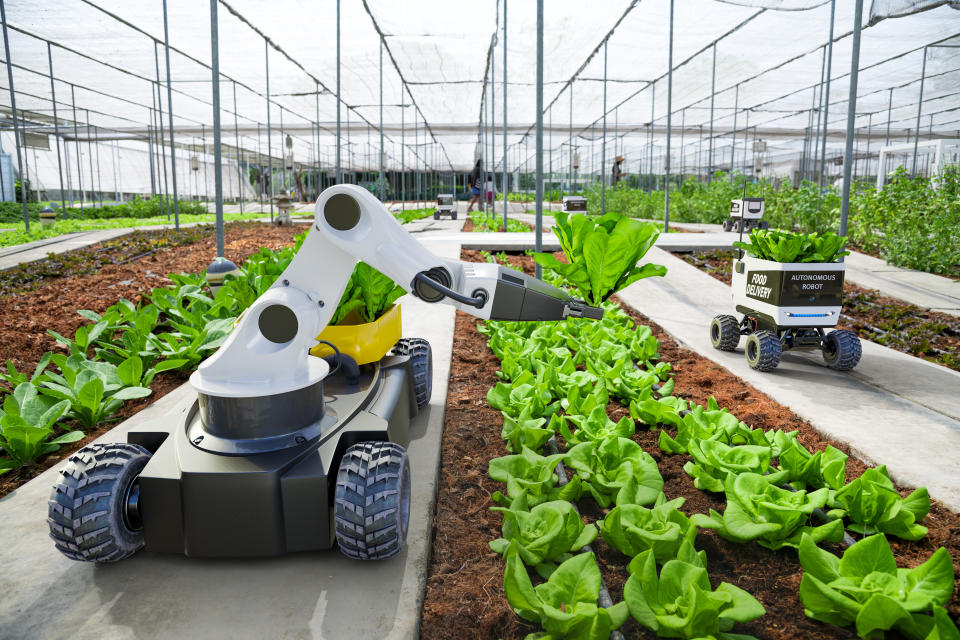 Smart Farming mithilfe von KI-gesteuerten Robotern. (Symbolbild: Getty)