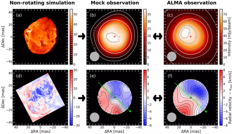 A diagram showing various simulations and observations of Betelgeuse's spin.