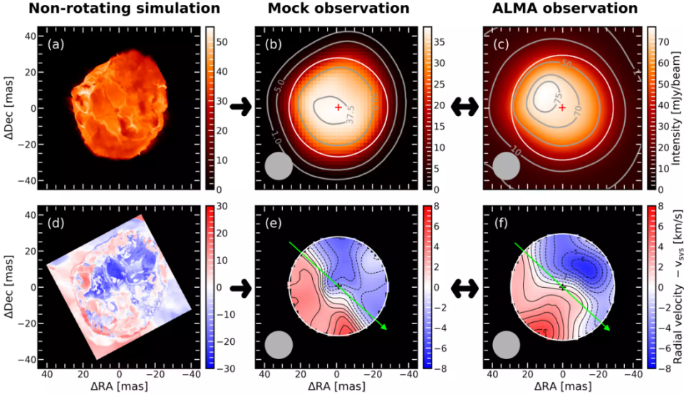 A diagram showing various simulations and observations of Betelgeuse's rotation.