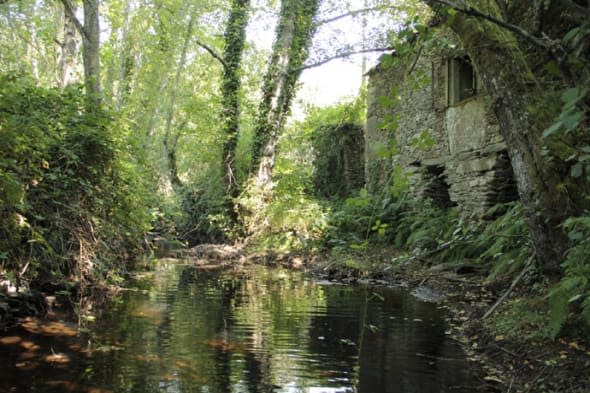 The semi-abandoned village has a watermill and is situated in 20,000m of landInside the ghost villages you can buy for £50,000: Thousands of abandoned Spanish hamlets for sale at less than half the price of a London garage.