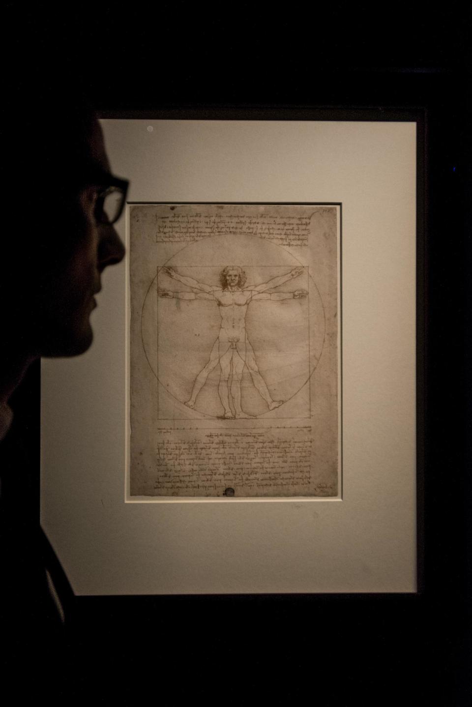 Anteprima della mostra Leonardo da Vinci a Palazzo Reale di Milano 