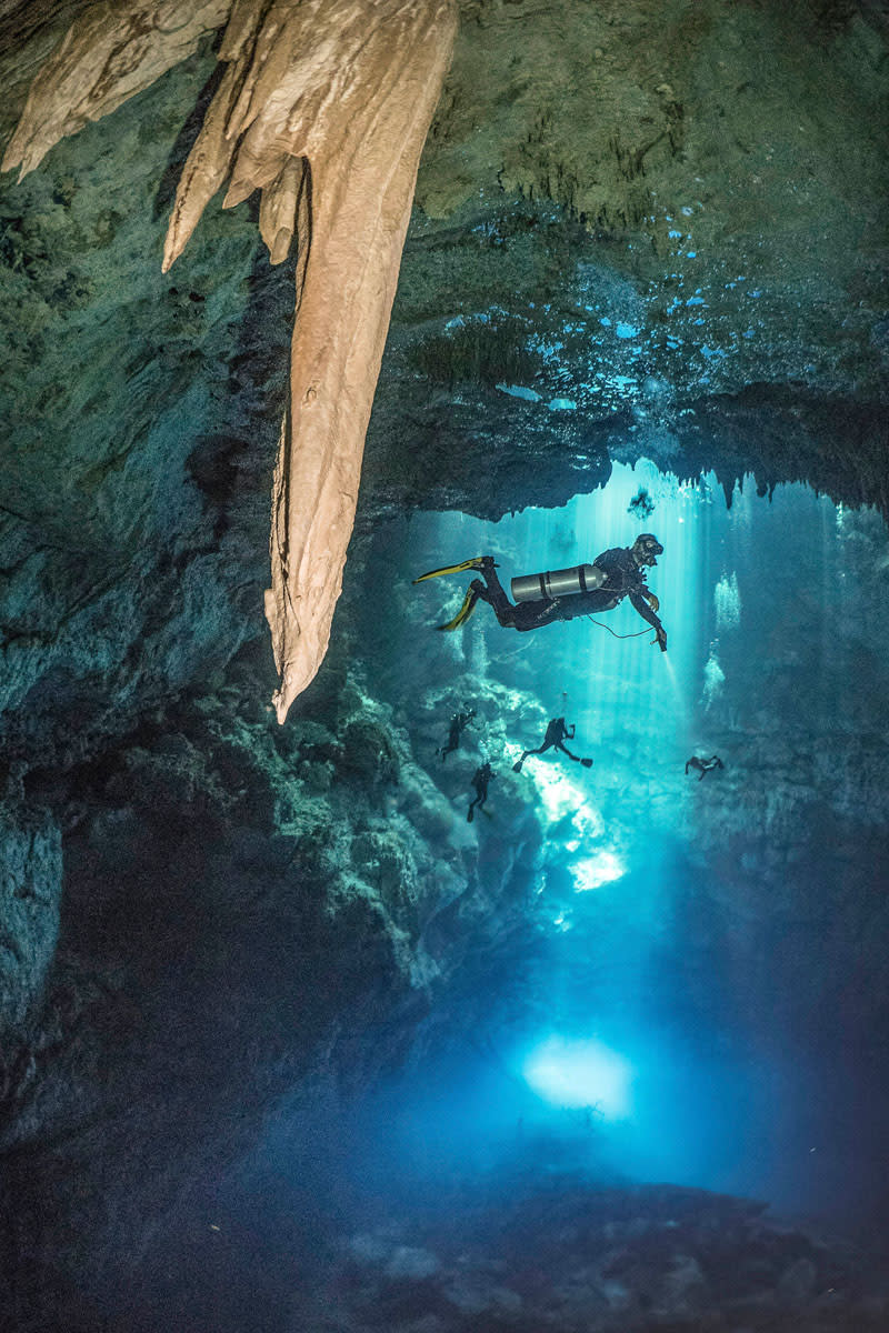 Beam me up! Beeindruckende Unterwasseraufnahmen