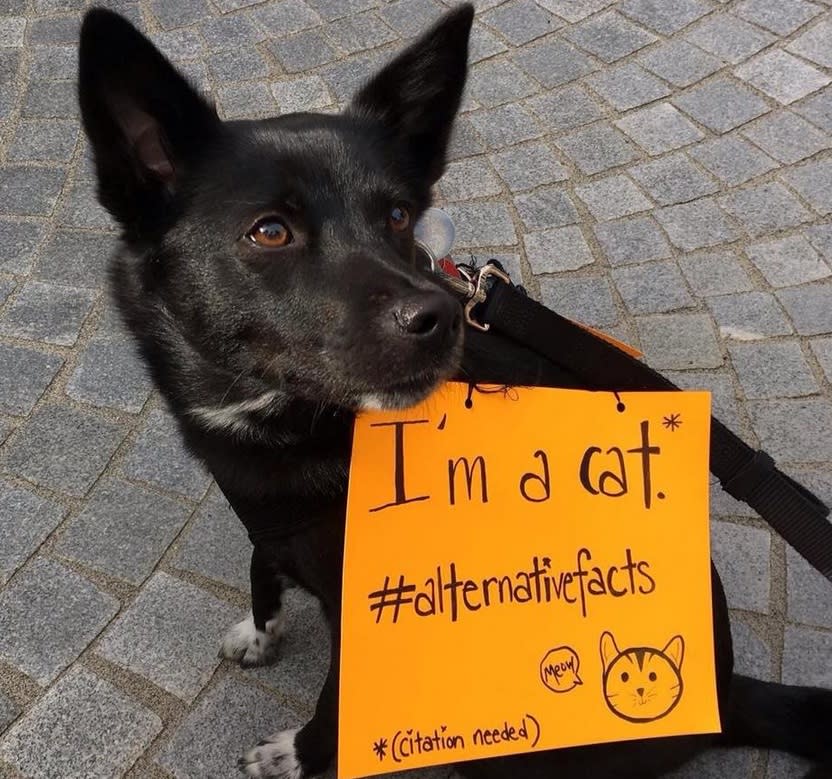 There were so many good dogs at the March for Science, we can’t pick a favorite