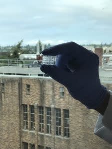 A University of Washington chemist holds up the one cubic centimeter bioreactor. (Photo courtesy of Nelson Research Lab)