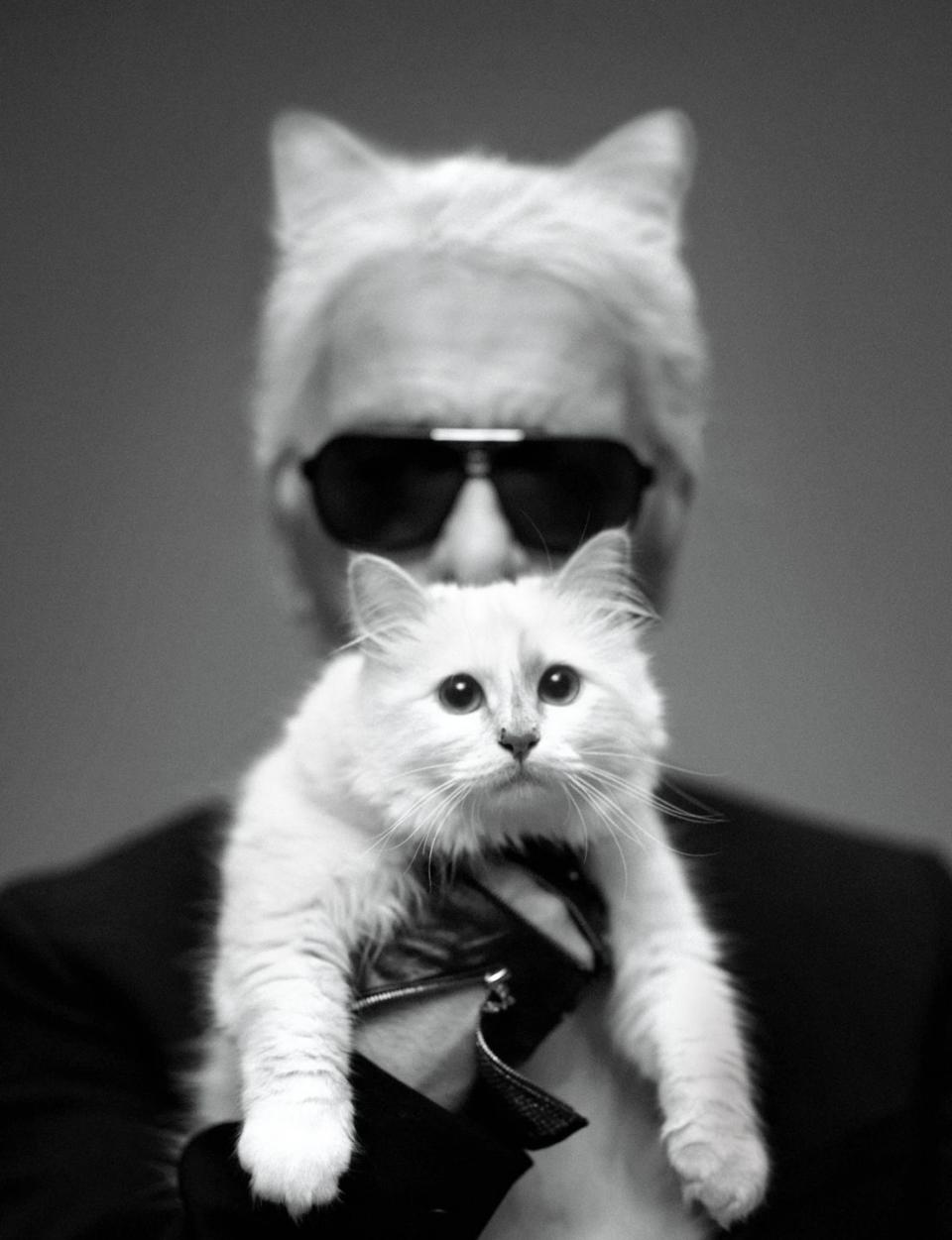 Photo credit: Karl Lagerfeld for Harper's BAZAAR