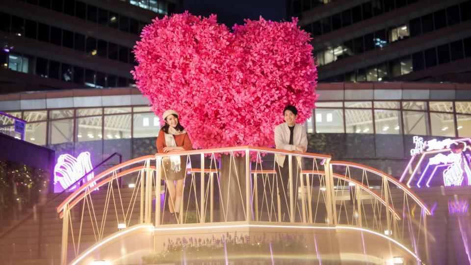 情人橋後方設置一棵逾4米高的情人樹，頂部以呈心形，為愛侶設下矢志不渝愛的標記。