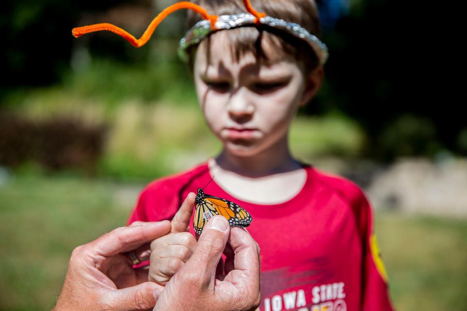 Malachi, 5, holds a monarch butterfly on the tip of his finger with the help of Joel Van Roekel, supervisor of environmental education for Des Moines Parks and Recreation, during one of Van Roekel's free monarch tagging courses, on Thursday morning, Sep. 23, 2021, at Greenwood Park, in Des Moines.