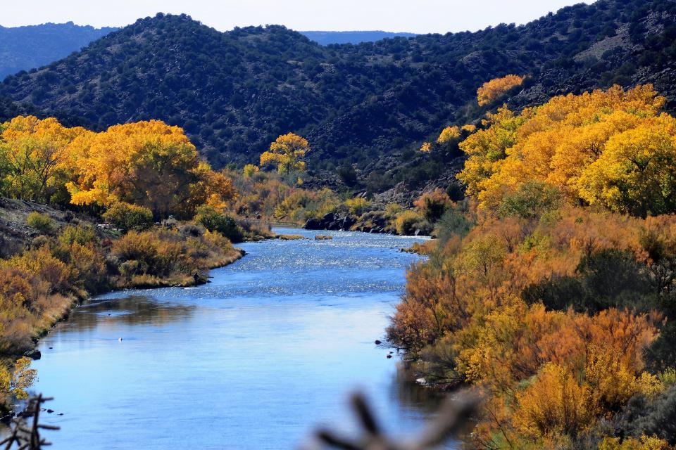 The Rio Grande River flows past cottonwood trees near Taos, New Mexico.