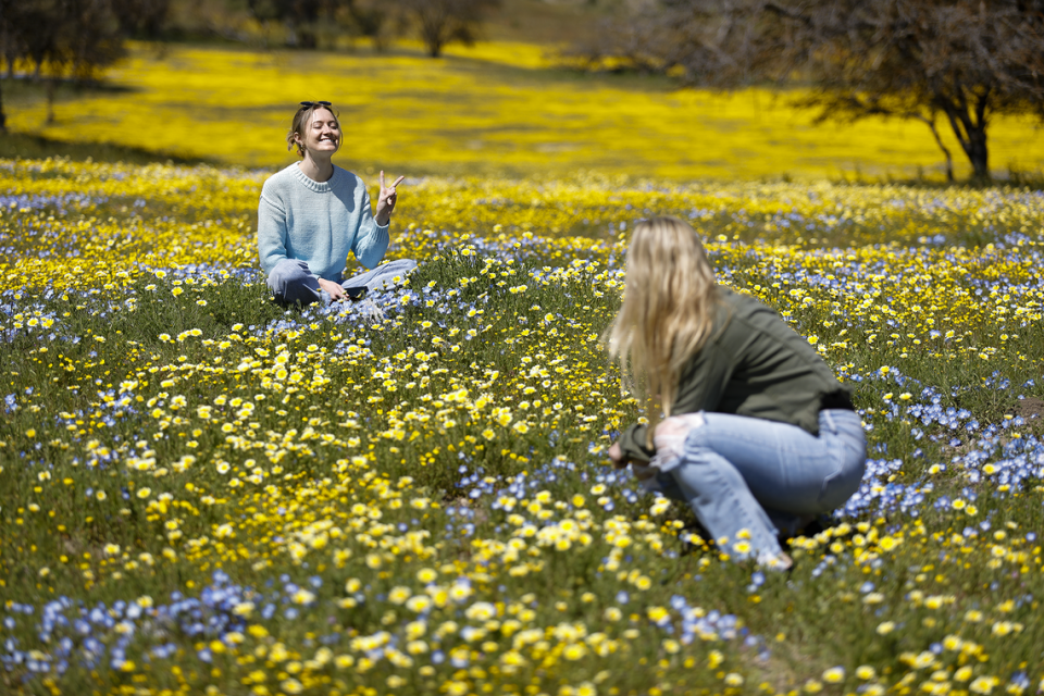 Grace Curtis of Sacramento poses for a photo by her sister Christine Wilson of San Luis Obispo in a field of wildflowers along Shell Creek Road, April 1, 2023.