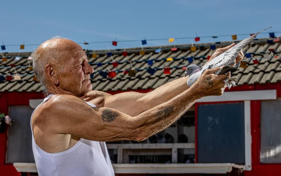 John Greenfield at his pigeon loft in Helmsley West Yorkshire UK Who has organised the first Pigeon race since Covid, - Charlotte Graham