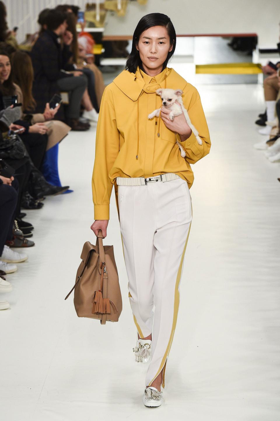 Tod’s Fall 2018