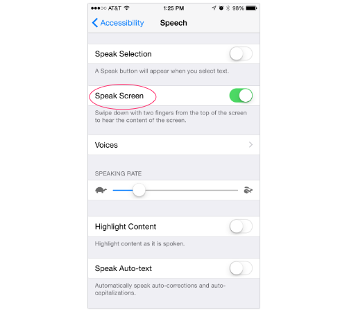 iPhone Speak Screen controls