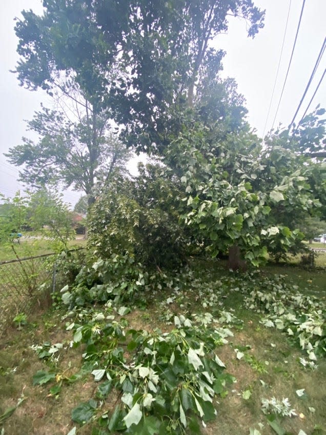 A tree fell on IndyStar photographer Grace Hollar's fence on Indianapolis' east side.