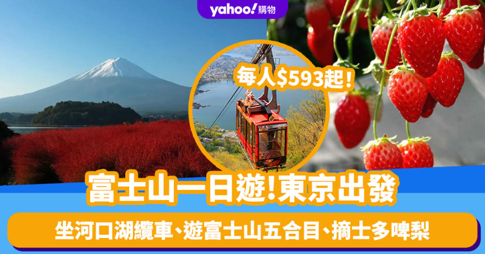 日本旅遊｜富士山一日遊 東京出發每人$593起！坐河口湖纜車、遊富士山五合目、山梨縣果園摘士多啤梨