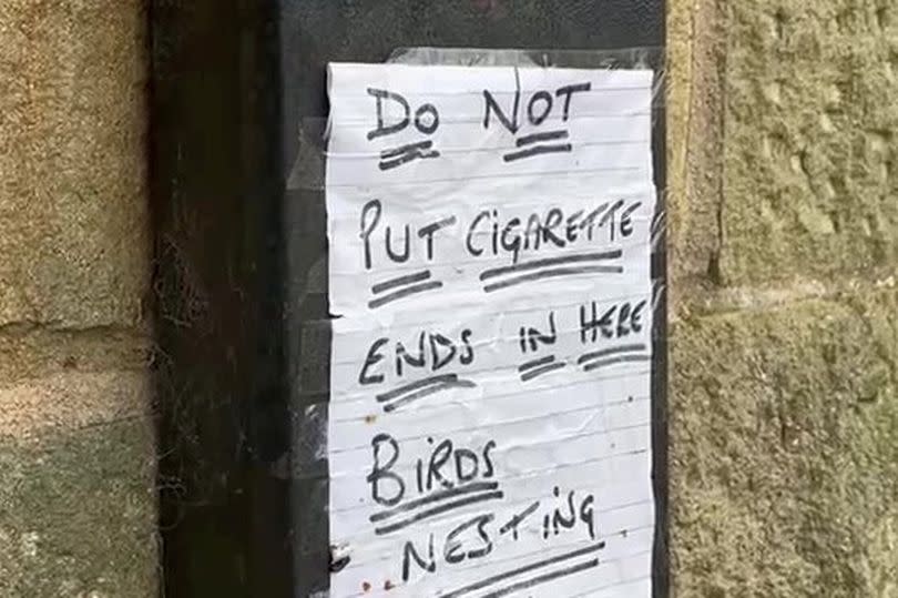 Blue tits nesting in a cigarette bin at Kettlesing Town Hall in North Yorkshire -Credit:Elise Key/SWNS