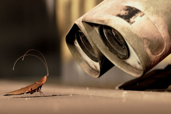Hal the cockroach and Wall-E staring at each other.