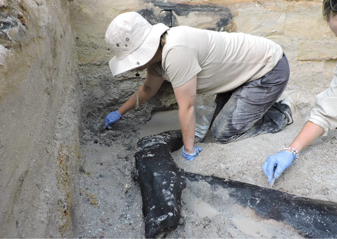 Archaeologists uncovered the ancient wood at a site in Kalambo Falls, Zambia (Professor Larry Barham/Professor Geoff Duller/PA)