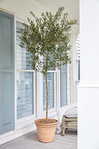 3) Faux Olive Tree