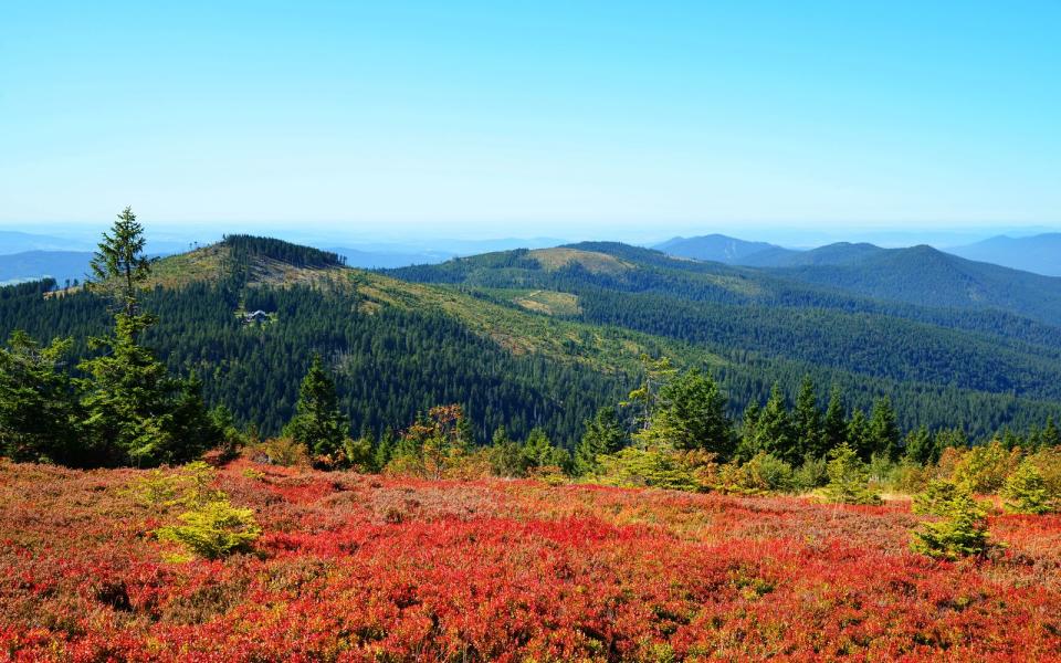 Am 7. Oktober 1970 wurde mit dem Bayerischen Wald der erste Nationalpark Deutschlands gegründet. Auf einer Fläche von über 24.000 Hektar darf die Natur einfach nur Natur sein. Glücklicherweise ist es nicht bei diesem einen Nationalpark geblieben: In den vergangenen 50 Jahren kamen immer mehr Flächen auf deutschem Gebiet hinzu, inzwischen gibt es 16 Nationalparks in Deutschland - kommen Sie mit uns auf eine Reise durch die unberührte Natur unserer Heimat ... (Bild: iStock / vencavolrab)