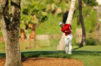 PALM BEACH GARDENS, FL - MARCH 02: Charl Schwartzel of South Africa hits his approach on the 13th hole during the second round of the Honda Classic at PGA National on March 2, 2012 in Palm Beach Gardens, Florida. (Photo by Mike Ehrmann/Getty Images)