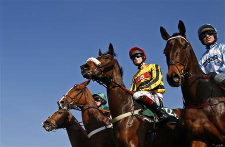 Horses and riders wait for the start of The Handicap Hurdle Race at the Cheltenham Festival horse racing meet in Gloucestershire, western England March 14, 2014. REUTERS/Eddie Keogh