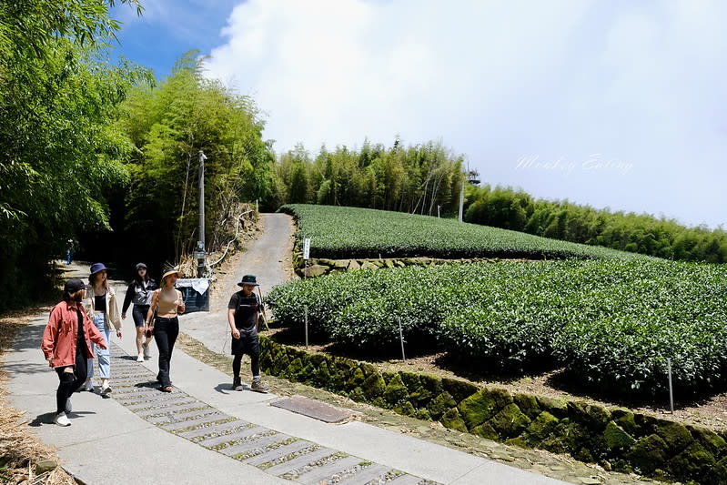 嘉義阿里山｜二延平步道