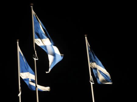 Saltire flags fly at the border between England and Scotland near Berwick on Tweed , Scotland March 10, 2017. Picture taken March 10, 2017 REUTERS/Russell Cheyne