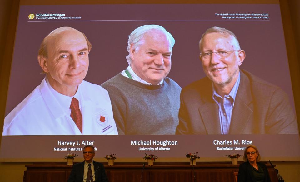 Nobel Committee members Patrik Ernfors (L) and Gunilla Karlsson Hedestam sit in front of a screen displaying the winners of the 2020 Nobel Prize in Physiology or Medicine (L-R) American Harvey Alter, Briton Michael Houghton and American Charles Rice during a press conference at the Karolinska Institute in Stockholm, Sweden, on October 5, 2020. - Americans Harvey Alter and Charles Rice together with Briton Michael Houghton won the Nobel Medicine Prize on Monday for the discovery of the Hepatitis C virus, the Nobel jury said. (Photo by Jonathan NACKSTRAND / AFP) (Photo by JONATHAN NACKSTRAND/AFP via Getty Images)