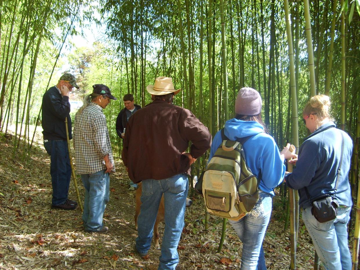 Join a Bamboo Walking Tour from 1:30-3 p.m. Nov. 1, 9, 15 and 23 at Haiku Bamboo Nursery/Farm, 468 Rhodes Mountain Road, Hendersonville. Tours end for the season on Nov. 23. To learn more, call 685-3053.